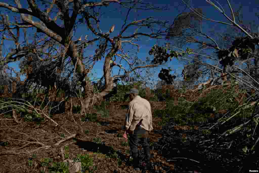 El agricultor Leonardo Abreu, de 47 años, recorre su granja dañada por el huracán Rafael, en Caimito, Artemisa, el 18 de noviembre de 2024. REUTERS/Alexandre Menegnini